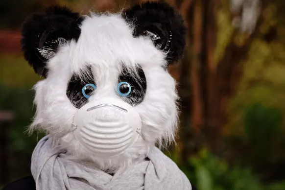 بيت ريلز كازينو الدعم